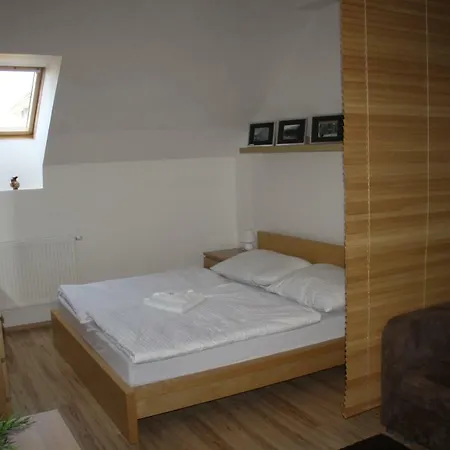 Apartman Velka Lomnice C9 *